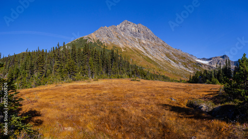 View from trail to lower and upper Dewey lake, Starting from Skagway Alaska 