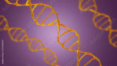 Futuristic double chain DNA  two colors  The scene with under a microscope on a Green background. The Concept molecular biology and biotechnology   DNA genomes. 3D rendering