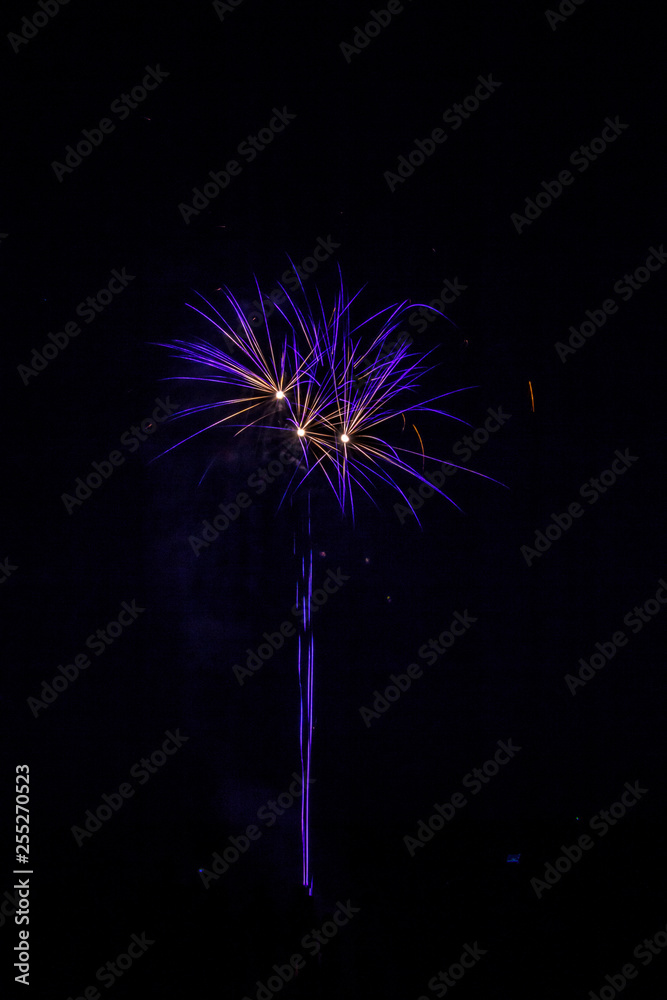 populous festive multi colour fireworks outside the city in the summer camp on isolated background of the night black sky populous festive multi colour fireworks outside the city in the summer camp on isolated background of the night black sky