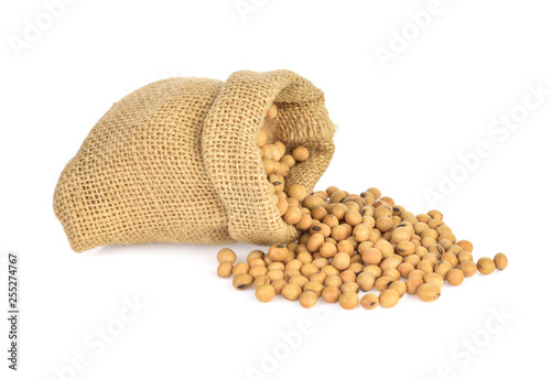 Soybeans  isolated on the white backgrounds