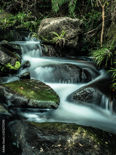 Waterfall in forest