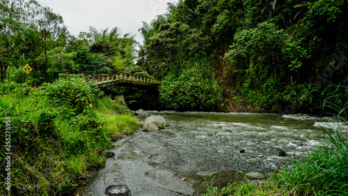 Road Trip in Ecuador Exploring Mindos outside Quito with its Butterflies and Hummingbirds