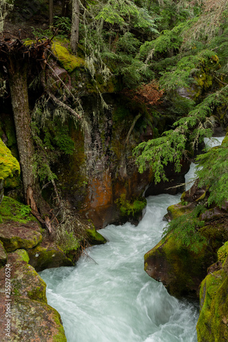 Water Rushing Through Avalanche Creek