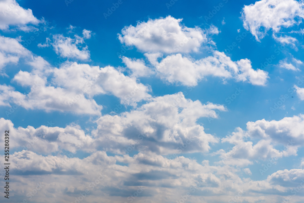 Fototapeta premium 青空