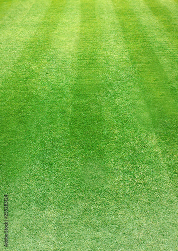 Vertical natured green grass soccer field paper background
