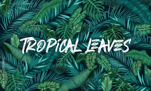 Tropical leaves forest background