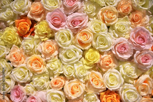 Hundres of roses as background