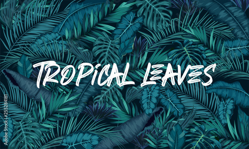 Tropical leaves forest background