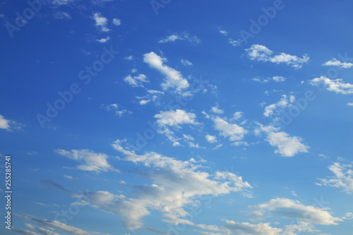Fototapeta Naklejka Na Ścianę i Meble -  fluffy white cloud moving above clear blue sky in the morning day