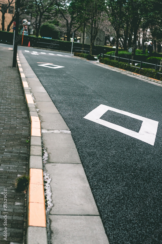 Obraz premium street in Tokyo, japan