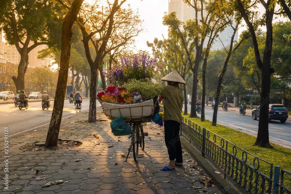 Flower basket on bike of street vendor on Hanoi street. Yellow leaf trees. Autumn or winter season