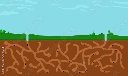 Ants busy in ant hill tunnels beneath a large blue sky. Long landscape. Flat design vector illustration.