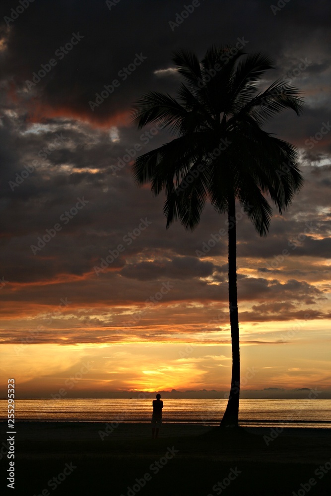 Sunset Tropical