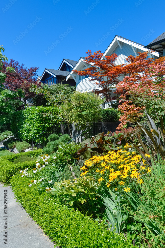 Delicately landscaped front yard of residential houses