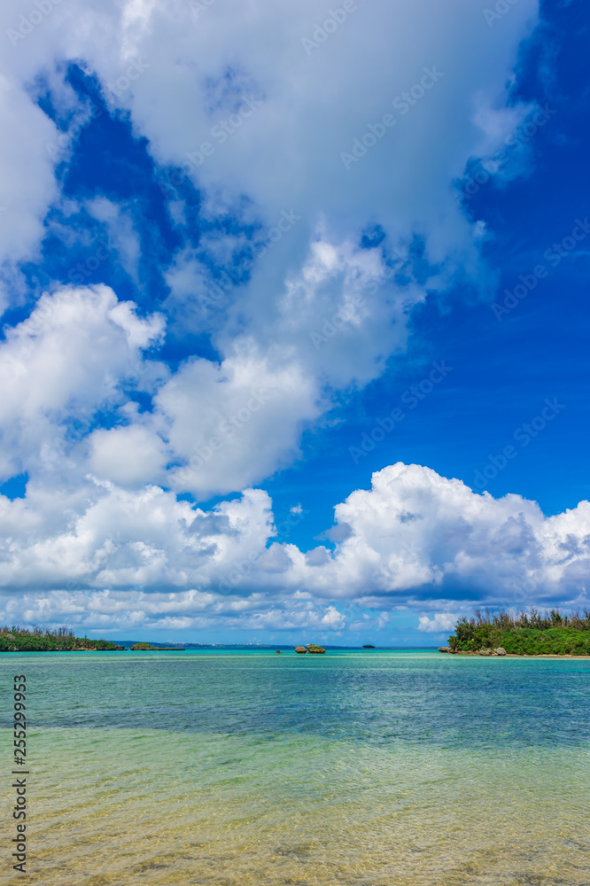 沖縄の海