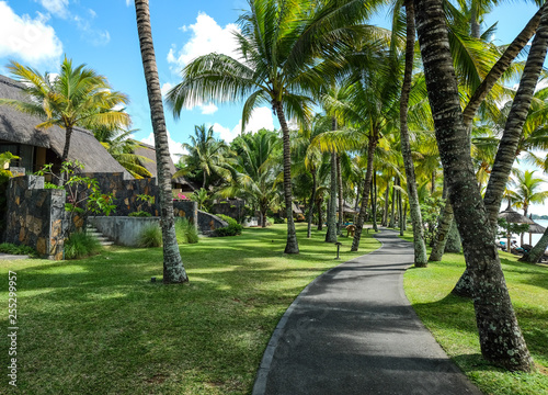 Wooden resort with coconut garden