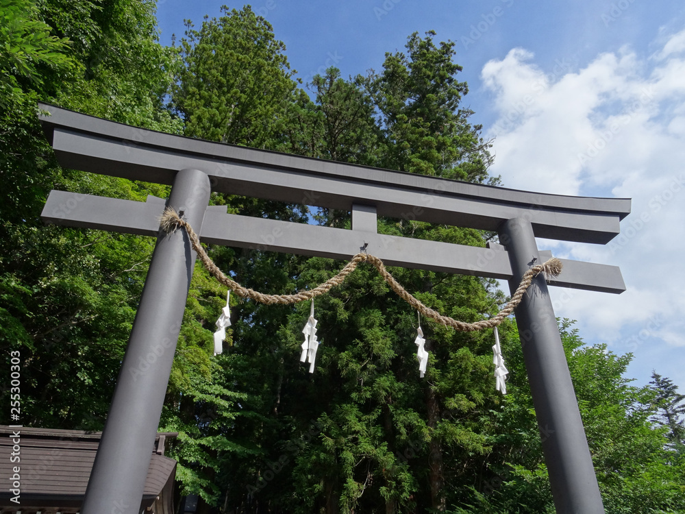 Beautiful Torii at the Togakushi-Jinja Shrine in Nagano Prefecture Beautiful Torii at the Togakushi-Jinja Shrine in Nagano Prefecture