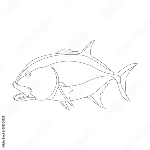 sea fish, vector illustration ,profile view