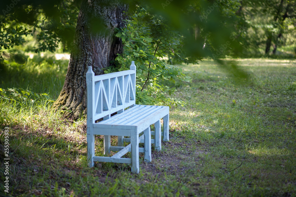 bench in the park in the summer in the estate of Glinka