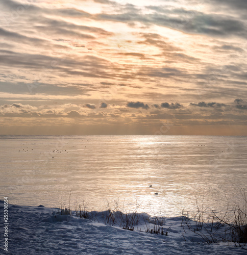 Oakville Area View of Lake Ontario