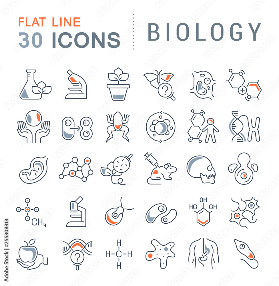Naklejka premium Set Vector Line Icons of Biology.