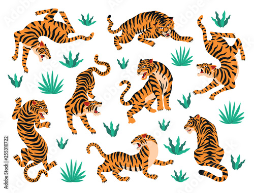 Vector set of tigers and tropical leaves. Trendy illustration.