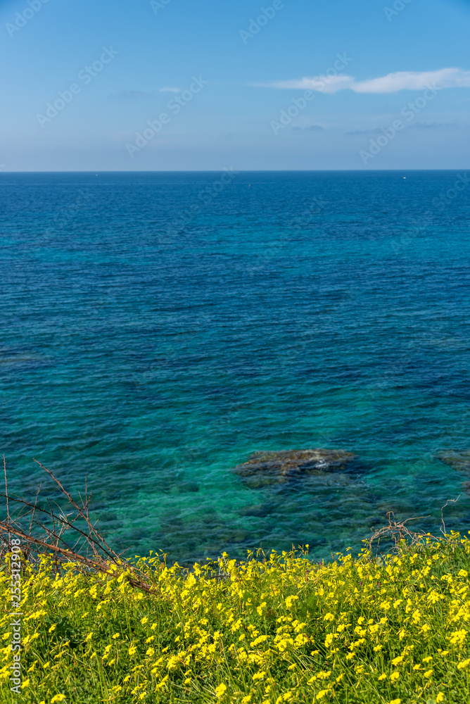Turquoise Blue Southern Italian Mediterranean Sea on a Sunny Day With Yellow Flowers