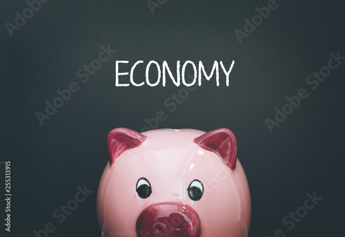 ECONOMY CONCEPT