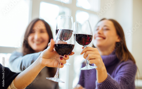 Photography Group of girls (women) drinking red wine, celebrating and having fun together, f