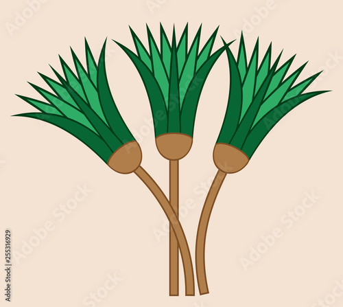 Papyrus plant shaft of Ancient Egypt. Vector and illustration.