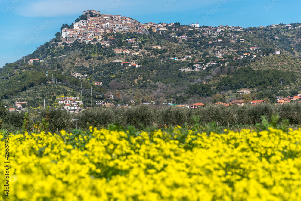Hilltop Medieval Village in Southern Italy with Yellow Wildflowers in the Foreground