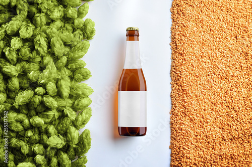 Brown beer bottlle mockup on white background  with hop cones and wheat. photo