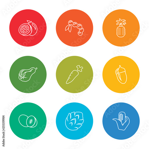 outline stroke corn, artichoke, kiwi, mangosteen, horseradish, carambola, pineapple, tamarind, passion fruit, vector line icons set on rounded colorful shapes