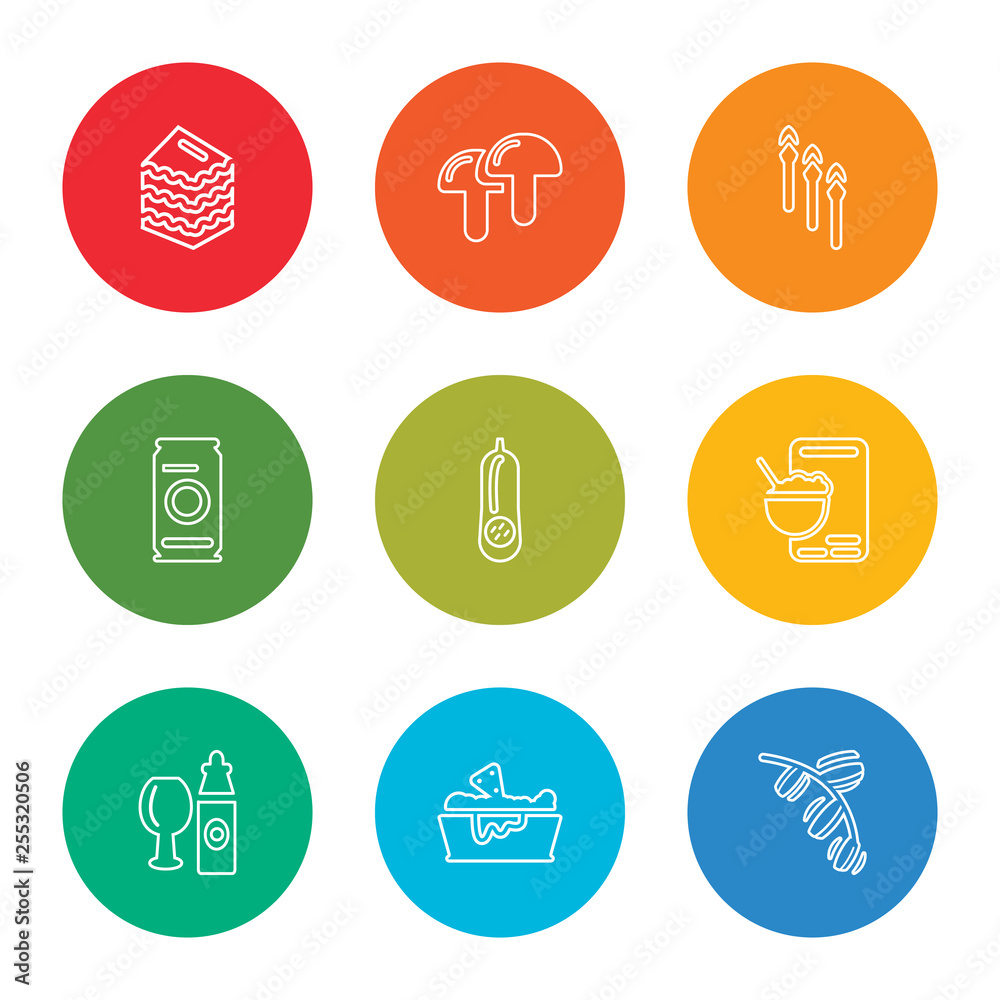 outline stroke gooseberry, nachos, champagne, cereal, butternut squash, beer can, asparagus, mushroom, lasagne, vector line icons set on rounded colorful shapes