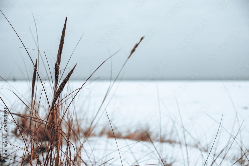 Obraz premium Winter Strand Natur Makro