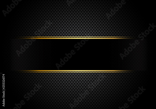 Carbon fiber background and texture and lighting with black label and gold line. Luxury style. Material wallpaper for car tuning or service.