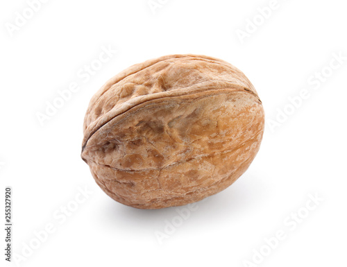 Tasty walnut on white background