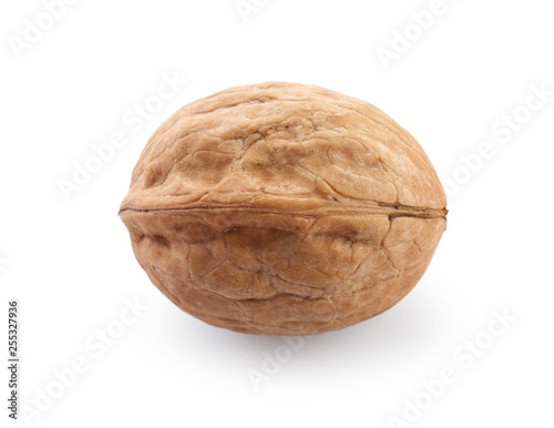 Tasty walnut on white background