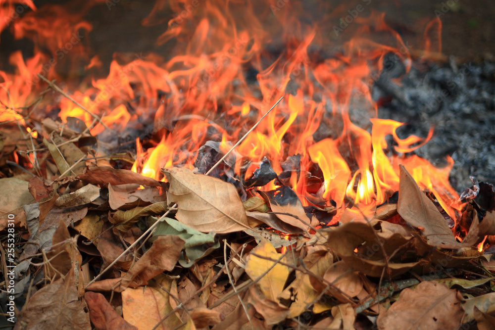 fire in fireplace cause pm 2.5