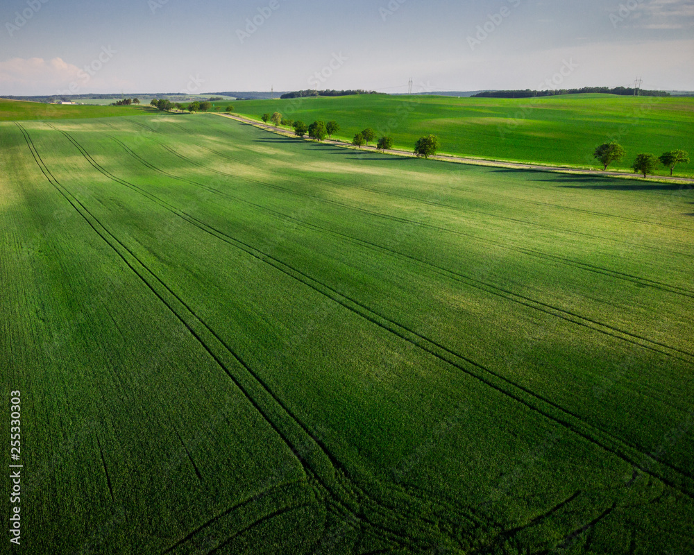 Green rolling farm hills at spring,drone view