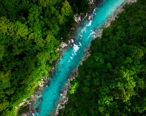 Keuken achterwand Bosrivier Blauwe rivier door lentebos  © marcin jucha
