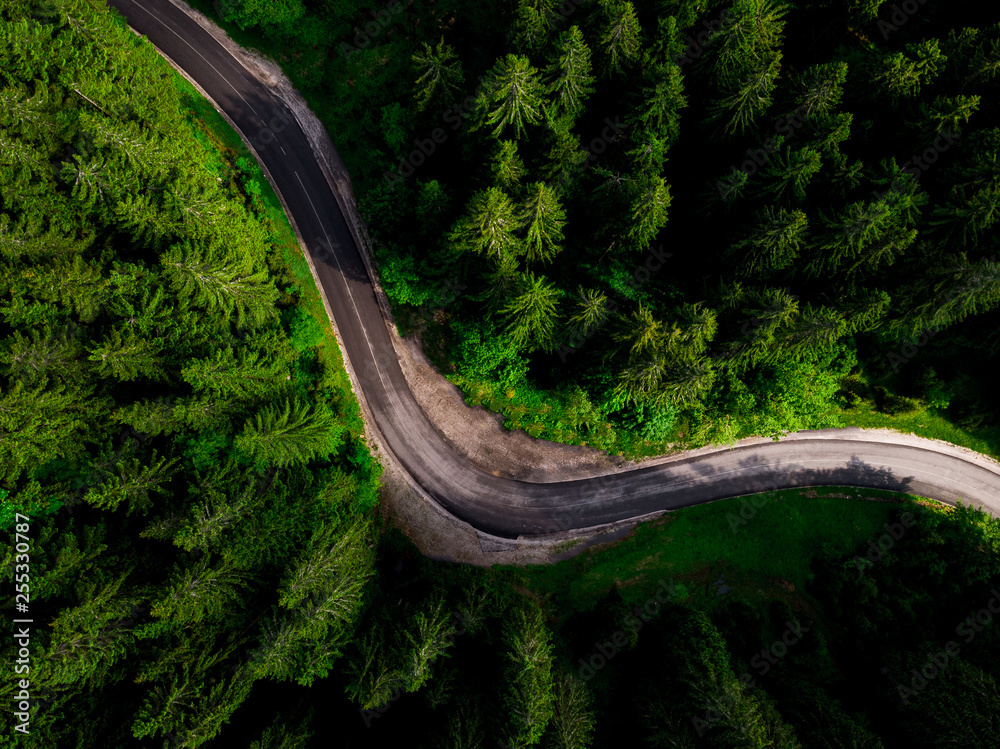Curvy road in spring forest, aerial view.