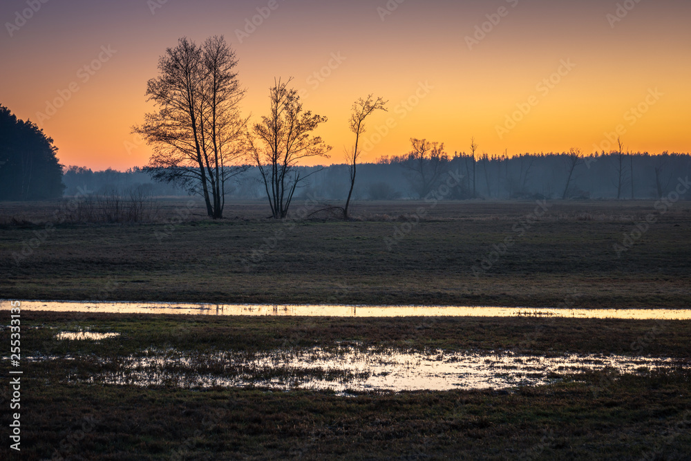 Obraz premium Valley of the Jeziorka River near Piaseczno, Masovia, Poland