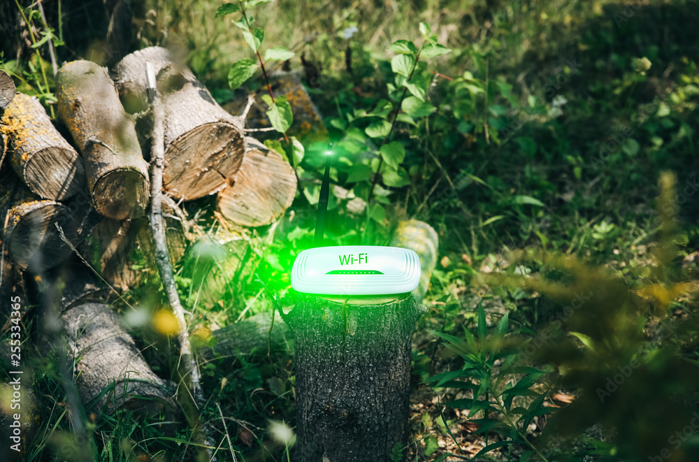 Fototapeta premium Wi-Fi router standing on the wooden logs. Internet connection in the nature. Forest and modern technologies.
