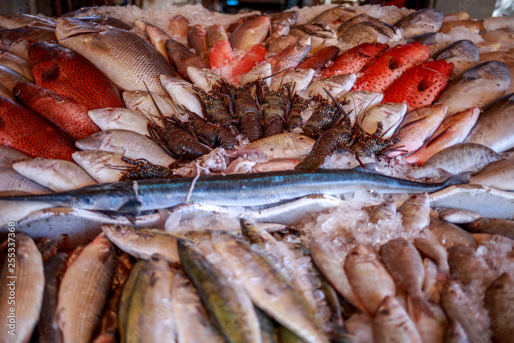 Different fish with ice on the fish market in Hurghada. Egypt.