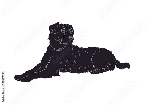 dog lies, silhouette, vector