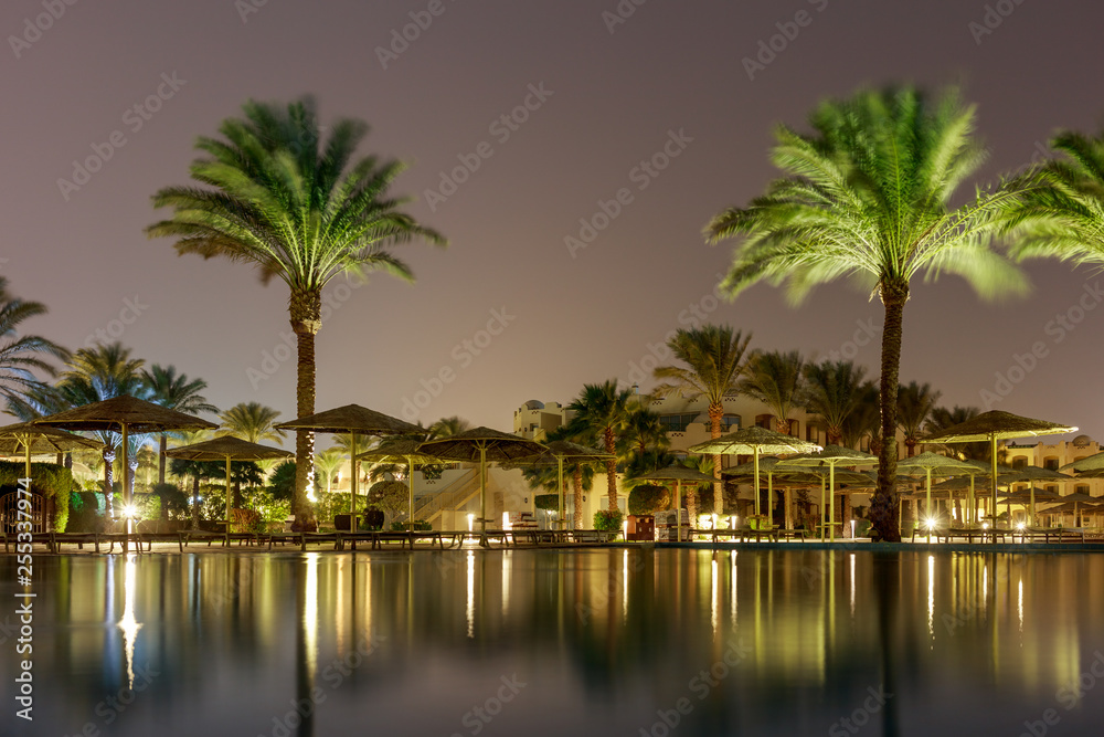 Beautiful palm trees and a pool at night.