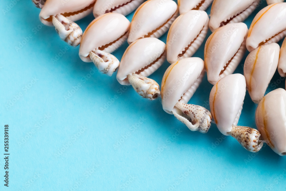 Fototapeta premium Beautiful summer cowrie shells on blue background