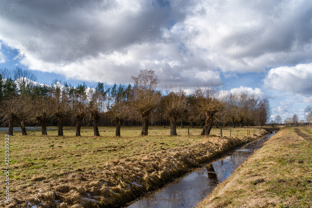 Wiosna na Podlasiu. Pola łąki i wierzby. Wiosenny dzień w dolinie Narwi. Wiosna na Podlasiu. Pola łąki i wierzby. Wiosenny dzień w dolinie Narwi.