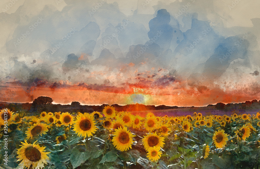 Watercolor painting of Sunflower Summer Sunset landscape with blue skies - obrazy, fototapety, plakaty 